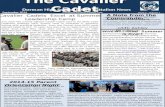 The Cavalier Cadet Issue 2 Volume 1 September 2014 Dorman High School JROTC Battalion News A Note from the Commander… Cavalier Cadets Excel at Summer Leadership.