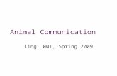 Animal Communication Ling 001, Spring 2009 Starting Points The idea that humans are biologically equipped for language… How does “general intelligence”