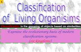 Examine the evolutionary basis of modern classification systems. (six kingdoms) 1 Classification is the grouping of objects based on similarities.