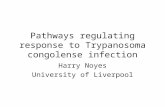 Pathways regulating response to Trypanosoma congolense infection Harry Noyes University of Liverpool.