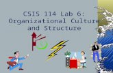CSIS 114 Lab 6: Organizational Culture and Structure.