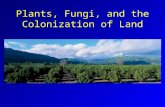 Plants, Fungi, and the Colonization of Land. Migration onto Land Continents subjected to flooding and receding of seas throughout geologic time. Natural.
