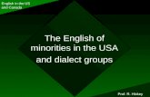 The English of minorities in the USA and dialect groups English in the US and Canada Prof. R. Hickey.
