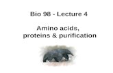 Bio 98 - Lecture 4 Amino acids, proteins & purification.