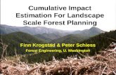 Cumulative Impact Estimation For Landscape Scale Forest Planning Finn Krogstad & Peter Schiess Forest Engineering, U. Washington.