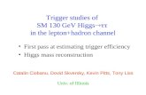 Trigger studies of SM 130 GeV Higgs  in the lepton+hadron channel First pass at estimating trigger efficiency Higgs mass reconstruction Catalin Ciobanu,