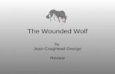 The Wounded Wolf by Jean Craighead George Review.