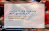 Law For Small Business (Management 349) Business Organizations (Chapters 1-4) Professor Charles H. Smith Fall 2010.