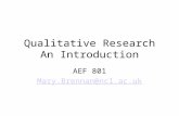 Qualitative Research An Introduction AEF 801 Mary.Brennan@ncl.ac.uk.