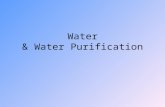 Water & Water Purification. Water Expands when freezing – fish Liquid at room temperature – H-bonding High specific heat (heat capacity) ↑ - weather High.