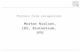 Protein Fold recognition Morten Nielsen, CBS, BioCentrum, DTU.
