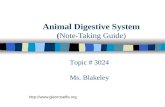 Animal Digestive System (Note-Taking Guide)  Topic # 3024 Ms. Blakeley.