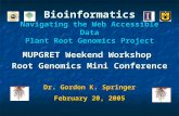 Bioinformatics Navigating the Web Accessible Data Plant Root Genomics Project MUPGRET Weekend Workshop Root Genomics Mini Conference Dr. Gordon K. Springer.