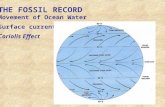 THE FOSSIL RECORD Movement of Ocean Water Surface currents Coriolis Effect.