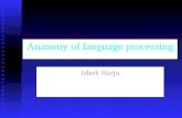 Anatomy of language processing Mark Harju. Most components for language processing are located in the left hemisphere Most components for language processing.
