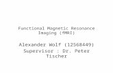 Functional Magnetic Resonance Imaging (fMRI) Alexander Wolf (12568449) Supervisor : Dr. Peter Tischer.