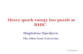M. Djordjevic 1 Heavy quark energy loss puzzle at RHIC Magdalena Djordjevic The Ohio State University.
