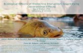 Ecological Effects of Endocrine Disruption: Quantifying Generational Effects David Walker, PhD University of Arizona David Walker 1, Nick Paretti 2, Gail.