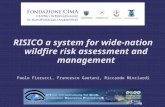 RISICO a system for wide-nation wildfire risk assessment and management Paolo Fiorucci, Francesco Gaetani, Riccardo Minciardi.