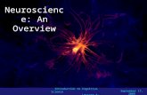 Introduction to Cognitive Science Lecture 4: Neuroscienc e: An Overview Neuroscience: An Overview September 17, 2009.
