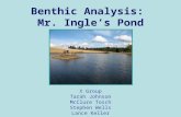 Benthic Analysis: Mr. Ingle’s Pond X Group Tarah Johnson McClure Tosch Stephen Wells Lance Keller.