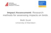 Beth Scott University of Aberdeen Impact Assessment: Research methods for assessing impacts on birds.