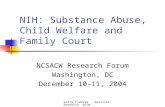 Jerry Flanzer Services Research NIDA NIH: Substance Abuse, Child Welfare and Family Court NCSACW Research Forum Washington, DC December 10-11, 2004.