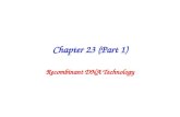 Chapter 23 (Part 1) Recombinant DNA Technology. Methods for isolating, manipulating, and amplifying identifiable DNA sequences. Allows us to study the.