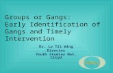 Groups or Gangs: Early Identification of Gangs and Timely Intervention Dr. Lo Tit Wing Director Youth Studies Net, CityU.
