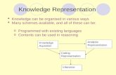 Knowledge Representation Knowledge Aquisition Analysis Representation Coding Representation Inference  Knowledge can be organised in various ways  Many.