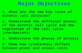 Major Objectives 1. What are the two key roles of mitotic cell division? 2. Understand the different phases of the mitotic cell cycle and the regulation.