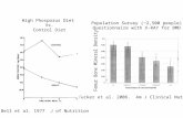 Tucker et al. 2006. Am J Clinical Nutrition Femur Bone Mineral Density Bell et al. 1977 J of Nutrition High Phosporus Diet Vs. Control Diet Population.