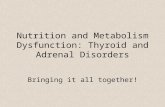 Nutrition and Metabolism Dysfunction: Thyroid and Adrenal Disorders Bringing it all together!