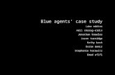 Blue agents’ case study Luke eddins Adil sharag-eldin Jonathan knowles Jason turnidge Kathy bash Evrim demir Stephanie horowitz Emad afifi.