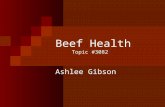 Beef Health Topic #3082 Ashlee Gibson. Objectives To identify general health symptoms To understand causes, signs, prevention, and control of different.