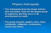 Phylum Arthropoda  The Arthropoda (from the Greek Arthron, joint and podus, foot) are the largest group of organisms and they occur in all environments.