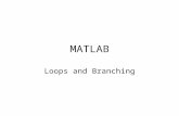 MATLAB Loops and Branching. Loop types Counted loops; called for loop Conditional loops; called while loop.