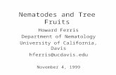 Nematodes and Tree Fruits Howard Ferris Department of Nematology University of California, Davis hferris@ucdavis.edu November 4, 1999.