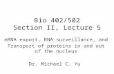 Bio 402/502 Section II, Lecture 5 mRNA export, RNA surveillance, and Transport of proteins in and out of the nucleus Dr. Michael C. Yu.