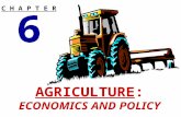 AGRICULTURE: ECONOMICS AND POLICY 6 C H A P T E R.