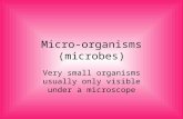 Micro-organisms (microbes) Very small organisms usually only visible under a microscope.