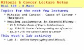 Mitosis & Cancer Lecture Notes Biol 100 – K.Marr Topics for the next few lectures Mitosis and Cancer: Cause of Cancer + Therapies Reading assignments in.