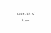 Lecture 5 Trees. Family Trees Please draw from the board Tree: Section 4.1 (Weiss)
