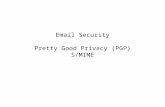 Email Security Pretty Good Privacy (PGP) S/MIME. Introduction Email is one of the most heavily used network-based application. There are two widely used.