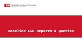 Baseline CSU Reports & Queries. Summary SAM-6 Final Budget Report (CSUSAM06) SAM-7 CSU Trial Balance (CSUGL007) CSUGL005 – Trial Balance by SCO/CSU Fund.