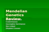 Mendelian Genetics Review Simple Dominance Codominance Incomplete Dominance Sex Linked Dihybrid Crosses.