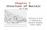 Chapter 7 Structure of Nucleic Acids "Scherzo in D & E" (detail) by David E. Rodale (1955-1985)