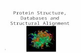 1 Protein Structure, Databases and Structural Alignment.
