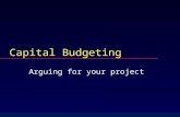 Capital Budgeting Arguing for your project  Capital budgeting  CFO receives proposals from divisions  Projects described by cash flows.