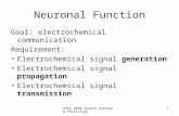 SPPA 2050 Speech Anatomy & Physiology 1 Neuronal Function Goal: electrochemical communication Requirement: Electrochemical signal generation Electrochemical.
